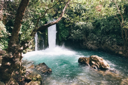 The essence of the company